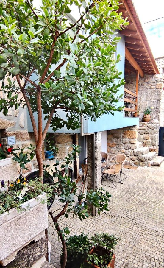 Casa Rural D 'Avo - Sossego Do Campo - 5 Adultos Alhais المظهر الخارجي الصورة